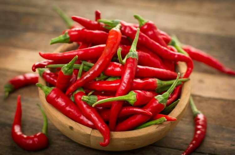 article sante piment dr cayatte